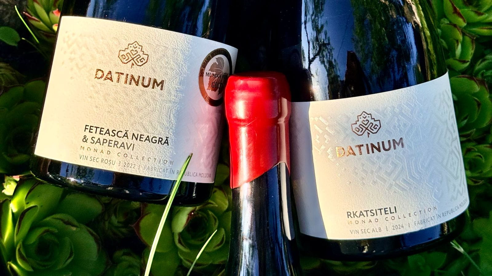 Un vin pentru vârf: ce am ales de la Datinum?