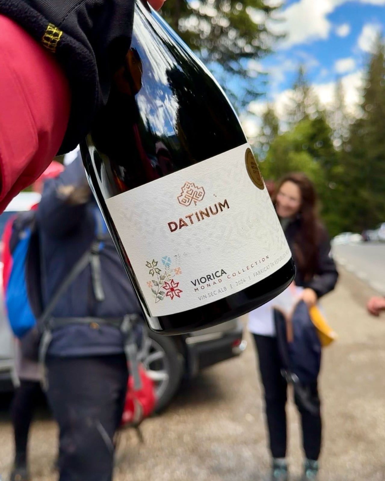 After-hike cu Viorica Datinum