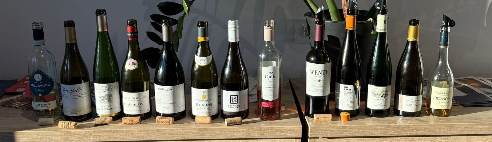 Wine Bottles